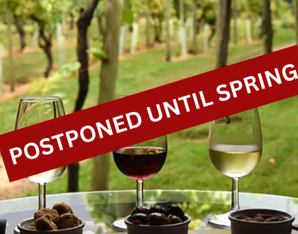 Tour of Stanlake Park Wine Estate